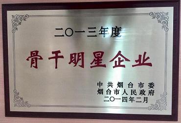 2013年度煙臺市骨干明星企業(yè)